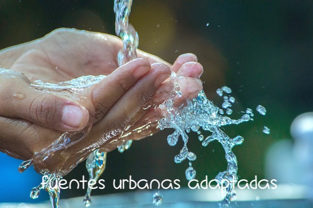 Disfruta del Agua: Fuentes Urbanas para Todos los Gustos y Necesidades